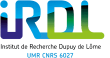 Institut de Recherche Dupuy de Lôme (IRDL)