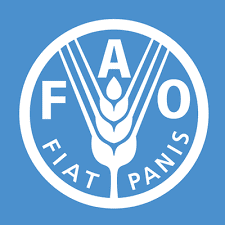 Food and Agriculture Organisation (FAO)