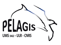 PELAGIS