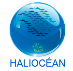 Haliocéan